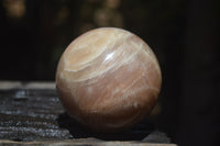 Polished Peach Moonstone Spheres x 3 From Madagascar