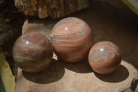 Polished Peach Moonstone Spheres x 3 From Madagascar