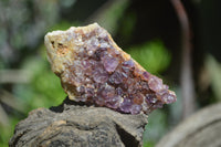 Natural Amethystos Amethyst Specimens x 35 From Kwaggafontein, South Africa