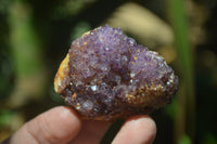 Natural Amethystos Amethyst Specimens x 35 From Kwaggafontein, South Africa