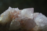 Natural Amethyst Cactus Flower Spirit Quartz Cluster x 1 From Boekenhouthoek, South Africa