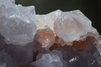 Natural Amethyst Cactus Flower Spirit Quartz Cluster x 1 From Boekenhouthoek, South Africa