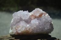 Natural Amethyst Cactus Flower Spirit Quartz Cluster x 1 From Boekenhouthoek, South Africa