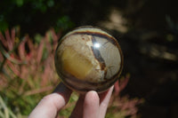 Polished Septerye Spheres x 4 From Mahajanga, Madagascar