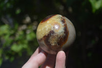 Polished Septerye Spheres x 4 From Mahajanga, Madagascar