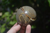 Polished Septerye Spheres x 4 From Mahajanga, Madagascar