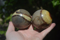 Polished Septerye Spheres x 4 From Mahajanga, Madagascar