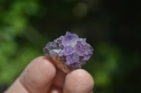 Natural Amethystos Amethyst Specimens x 125 From Kwaggafontein, South Africa