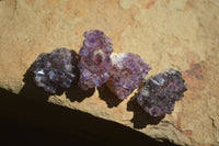 Natural Amethystos Amethyst Specimens x 125 From Kwaggafontein, South Africa