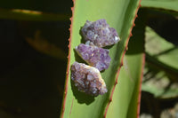 Natural Amethystos Amethyst Specimens x 125 From Kwaggafontein, South Africa