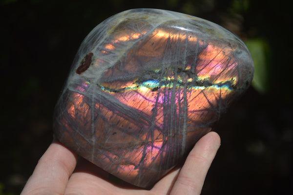 Polished Purple / Sunset Labradorite Standing Free Forms x 3 From Madagascar