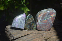 Polished Purple / Sunset Labradorite Standing Free Forms x 3 From Madagascar