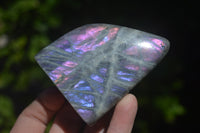 Polished Purple / Sunset Labradorite Standing Free Forms x 3 From Madagascar