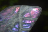 Polished Purple / Sunset Labradorite Standing Free Forms x 3 From Madagascar