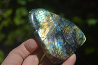 Polished Purple / Sunset Labradorite Standing Free Forms x 3 From Madagascar