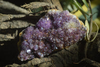 Natural Amethystos Amethyst Plates x 6 From Kwaggafontein, South Africa