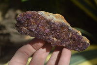 Natural Amethystos Amethyst Plates x 6 From Kwaggafontein, South Africa