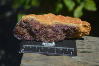 Natural Amethystos Amethyst Plates x 6 From Kwaggafontein, South Africa