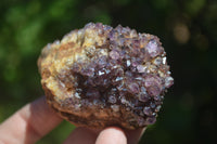 Natural Amethystos Amethyst Plates x 6 From Kwaggafontein, South Africa