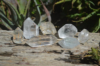 Polished Mixed Inclusion Quartz Crystals x 7 From Madagascar