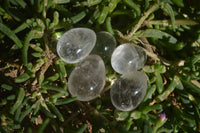 Polished Clear Quartz Gemstone Eggs x 40 From Madagascar