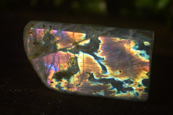 Polished Labradorite Standing Free Forms x 3 From Madagascar