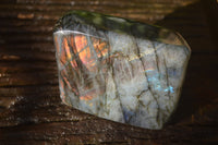 Polished Labradorite Standing Free Forms x 3 From Madagascar