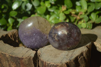 Polished Lepidolite with Pink Rubellite Palm Stones x 24 From Ambatondrazaka, Madagascar