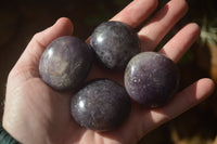 Polished Lepidolite with Pink Rubellite Palm Stones x 24 From Ambatondrazaka, Madagascar