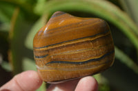 Polished Tiger's Eye Free Forms x 12 From Prieska, South Africa