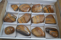 Polished Tiger's Eye Free Forms x 12 From Prieska, South Africa