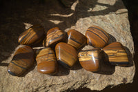 Polished Tiger's Eye Free Forms x 12 From Prieska, South Africa