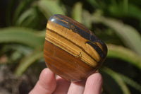 Polished Tiger's Eye Free Forms x 12 From Prieska, South Africa