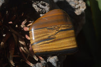 Polished Tiger's Eye Free Forms x 12 From Prieska, South Africa