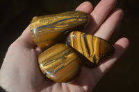 Polished Tiger's Eye Free Forms x 12 From Prieska, South Africa