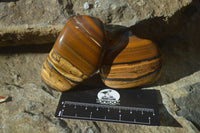 Polished Tiger's Eye Free Forms x 12 From Prieska, South Africa