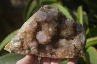 Natural Spirit Quartz Clusters x 2 From Boekenhouthoek, South Africa