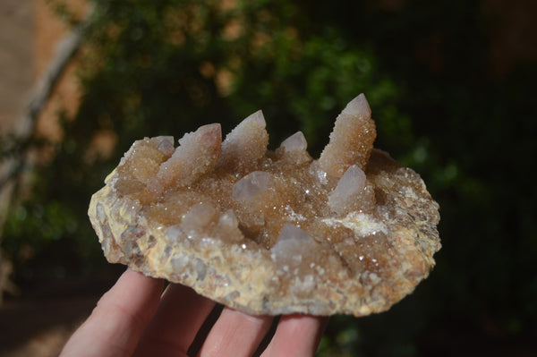 Natural Spirit Quartz Clusters x 2 From Boekenhouthoek, South Africa