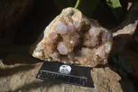 Natural Spirit Quartz Clusters x 2 From Boekenhouthoek, South Africa