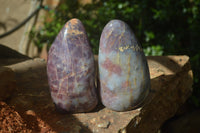 Polished Blue Rose Quartz Standing Free Forms x 2 From Madagascar