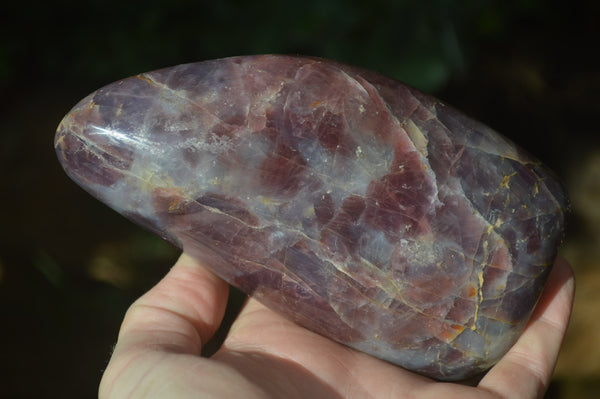 Polished Blue Rose Quartz Standing Free Forms x 2 From Madagascar