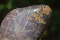 Polished Blue Rose Quartz Standing Free Forms x 2 From Madagascar