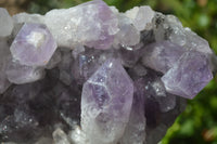 Natural Jacaranda Amethyst Quartz Cluster x 1 from Mumbwa, Zambia