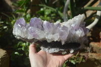 Natural Jacaranda Amethyst Quartz Cluster x 1 from Mumbwa, Zambia