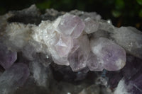 Natural Jacaranda Amethyst Quartz Cluster x 1 from Mumbwa, Zambia