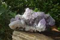 Natural Jacaranda Amethyst Quartz Cluster x 1 from Mumbwa, Zambia