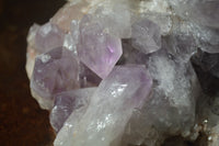 Natural Jacaranda Amethyst Quartz Cluster x 1 from Mumbwa, Zambia