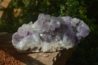 Natural Jacaranda Amethyst Quartz Cluster x 1 from Mumbwa, Zambia