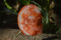 Polished Carnelian Agate Standing Free Forms x 3 From Madagascar