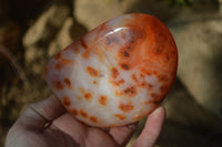 Polished Carnelian Agate Standing Free Forms x 3 From Madagascar